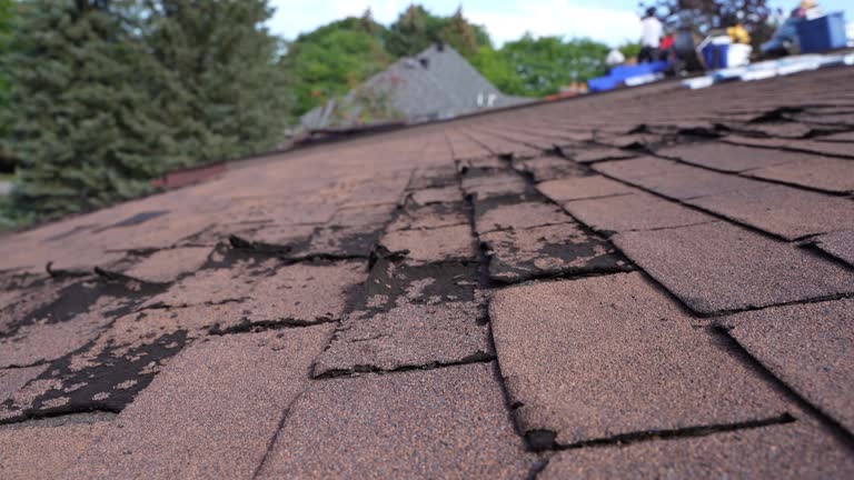 Best Hot Roofs  in Golf Manor, OH