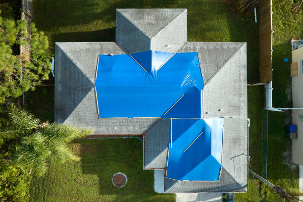 Best Roof Moss and Algae Removal  in Golf Manor, OH